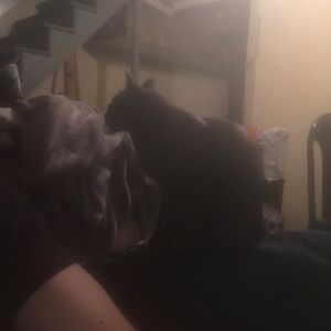 Meet your Posher, Jonathan